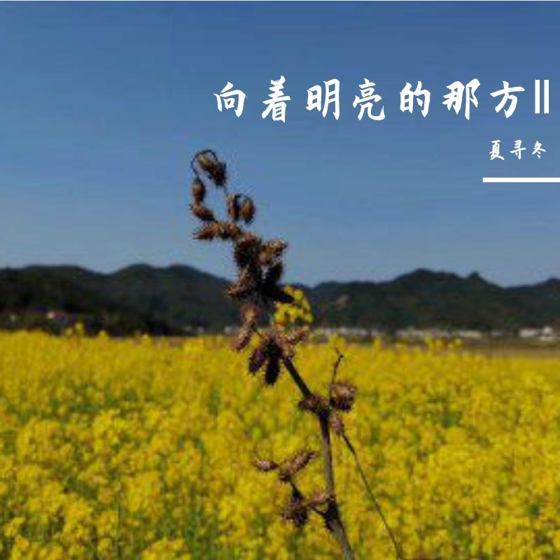 向着明亮的那方Ⅱ