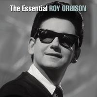 Roy Orbison - A Love So Beautiful (Karaoke Version) 带和声伴奏