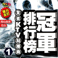 九百九十九朵玫瑰 琵琶曲伴奏