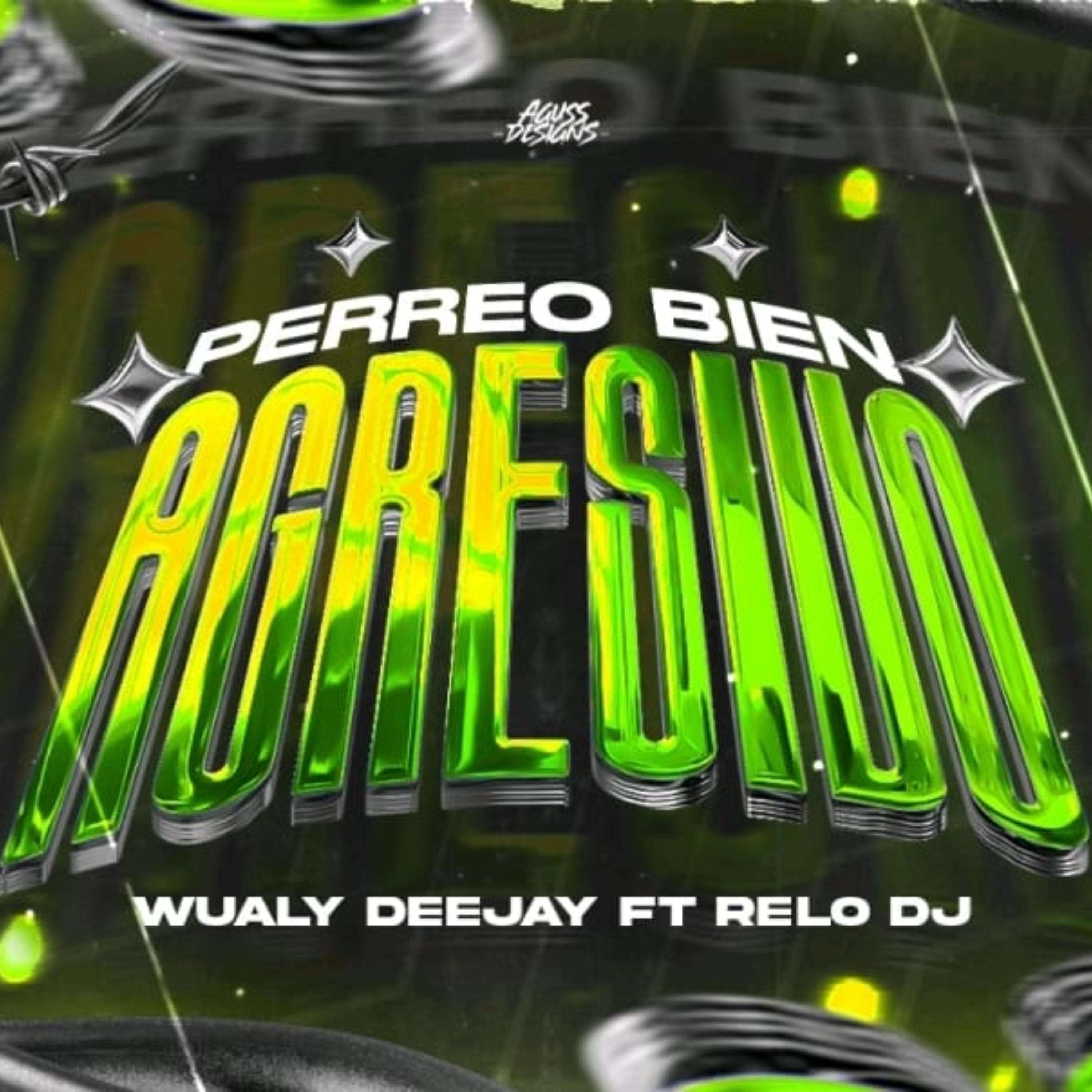 PERREO BIEN AGRESIVO (feat. RELO DJ)