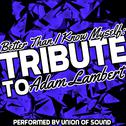 Better Than I Know Myself: Tribute to Adam Lambert专辑