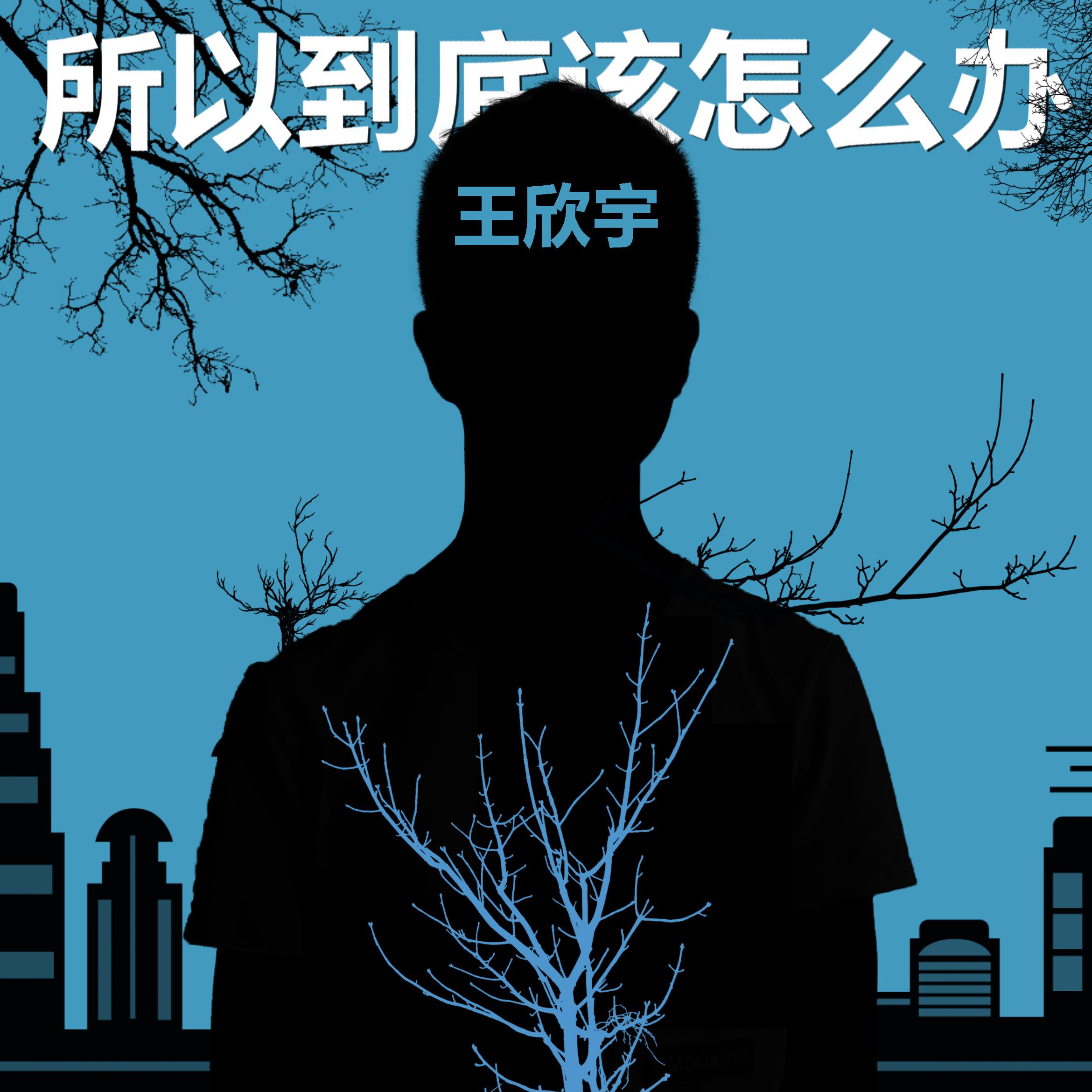 所以到底该怎么办-单曲专辑