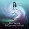 Harmony & Concentration – Music for Meditation, Healing, Relax, Training Yoga, Mantra, Chakra Balanc专辑