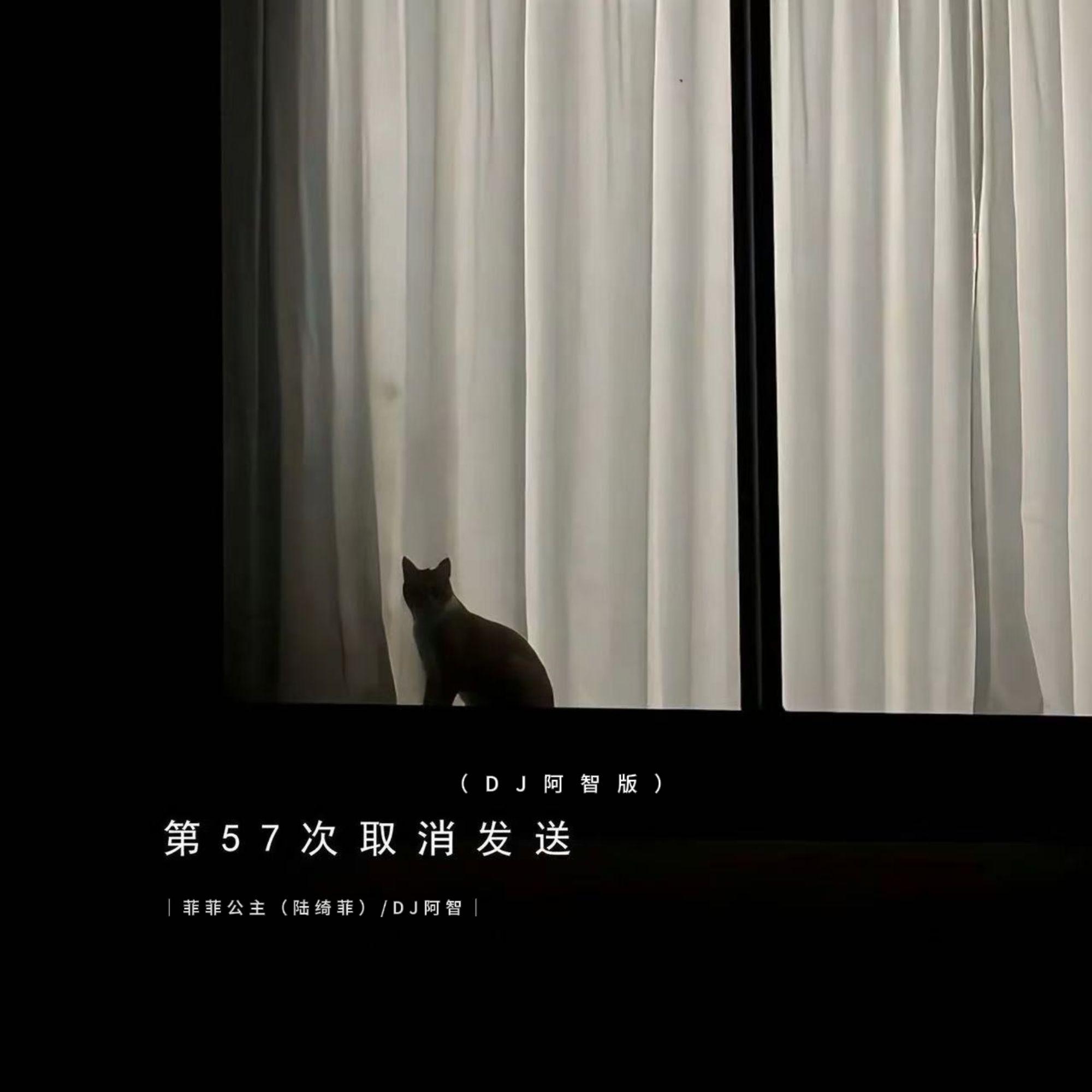 第57次取消发送（DJ阿智版）专辑