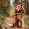 Relaxing Dog Music Playlists - Snout Sound Waves