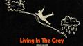 Living in the Grey专辑