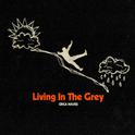 Living in the Grey专辑