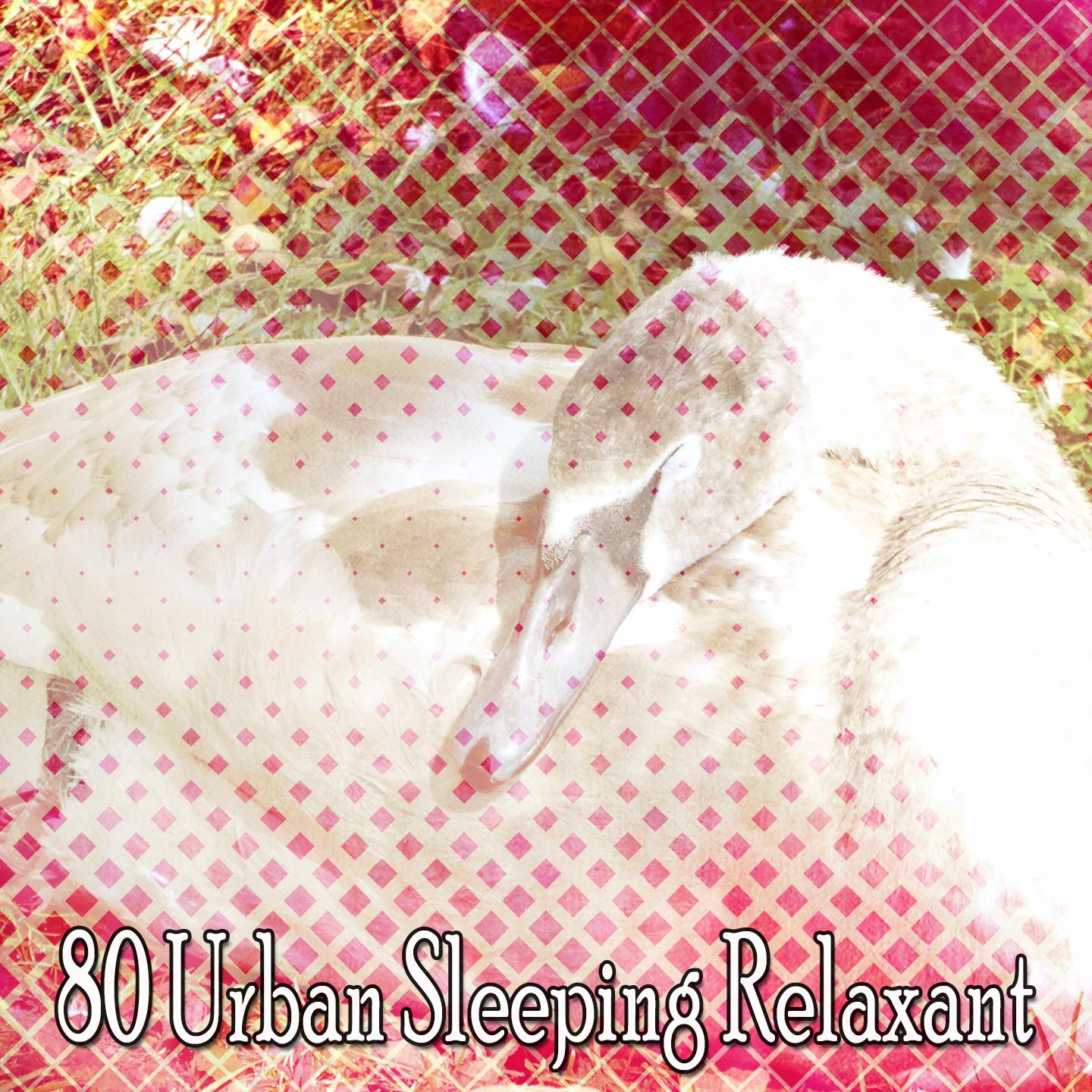 80 Urban Sleeping Relaxant专辑