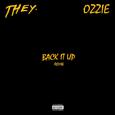 Back It Up (OZZIE Remix)