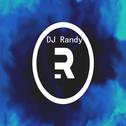 DJ Randy - say type beat专辑