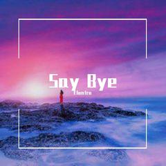 Say Bye