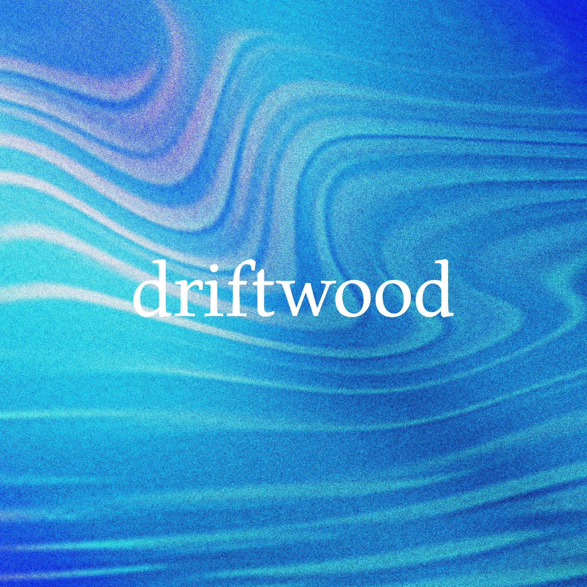 Driftwood - el capitan (ocean)