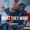 DJ The Rapper - What They Want