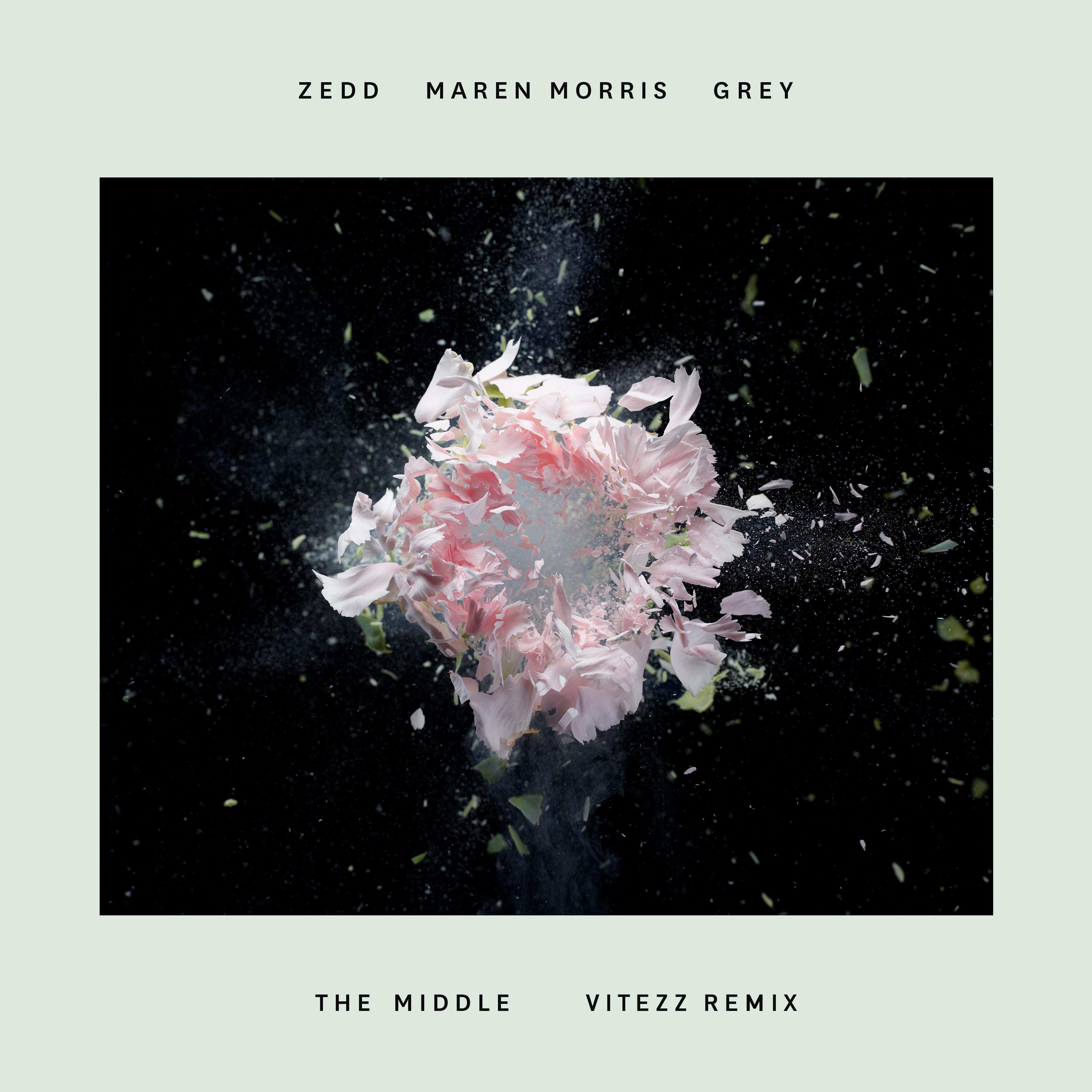 The Middle (Hauzer Remix)