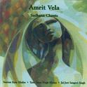 Amrit Vela专辑