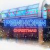 Penhorn Summer - Bugs at Christmas