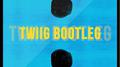 Shape Of You (TWIIG Bootleg)专辑