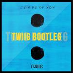 Shape Of You (TWIIG Bootleg)专辑