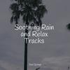 Best Relaxing SPA Music - Rain on Car