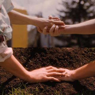 阳光洒落在草地上|七夕自己也要好好过