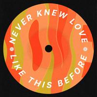 Never Knew Love Like This Before