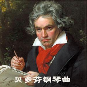 欢乐颂 贝多芬 长笛曲伴奏1 （升1半音）