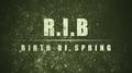 Birth of Spring专辑