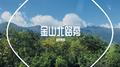 金山北路旁专辑