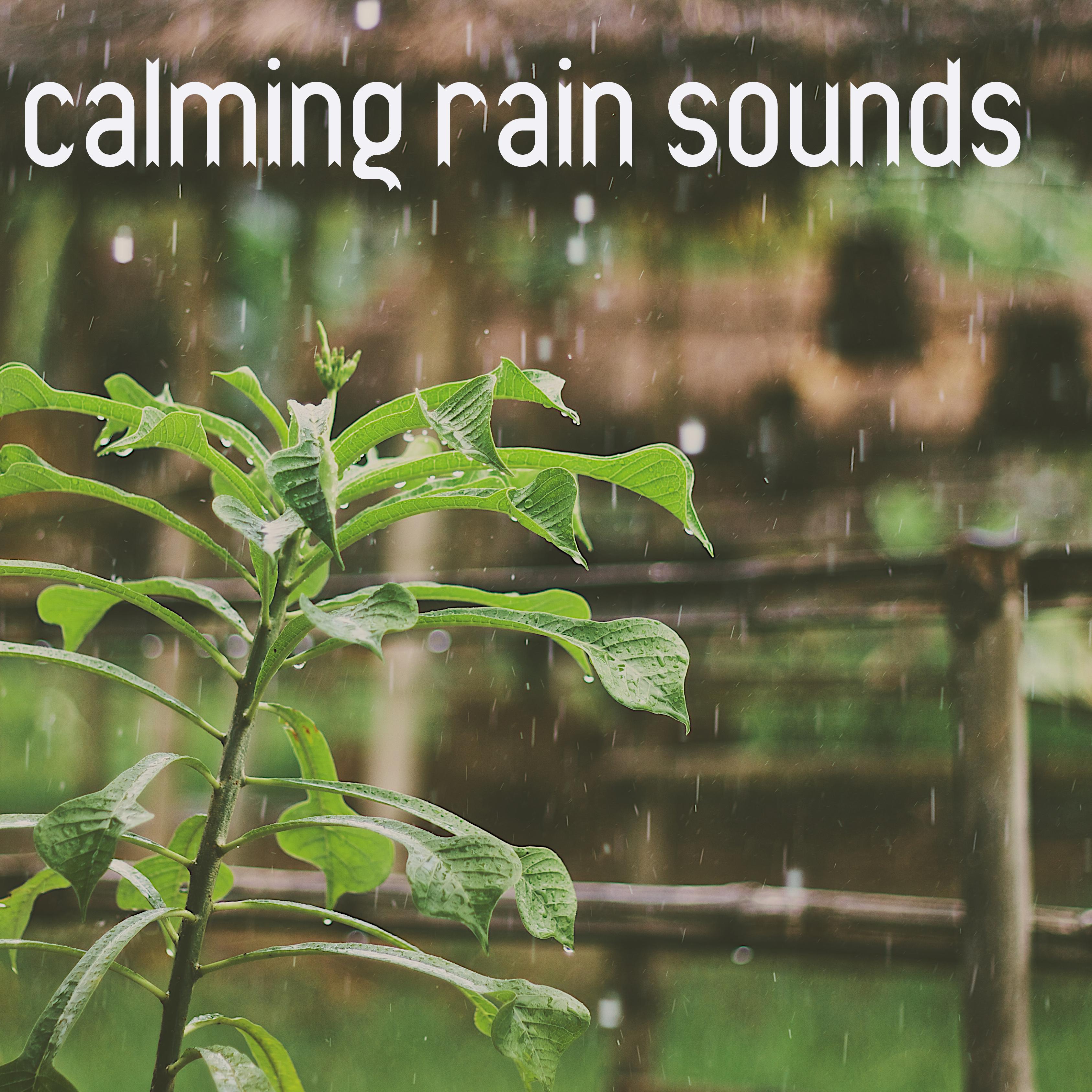 19 Calming Rain Sounds - Nature Sounds and Relaxing Rain专辑