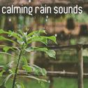 19 Calming Rain Sounds - Nature Sounds and Relaxing Rain专辑