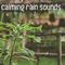 19 Calming Rain Sounds - Nature Sounds and Relaxing Rain专辑