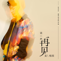 吴相辰 - 说一声再见(原版立体声伴奏)