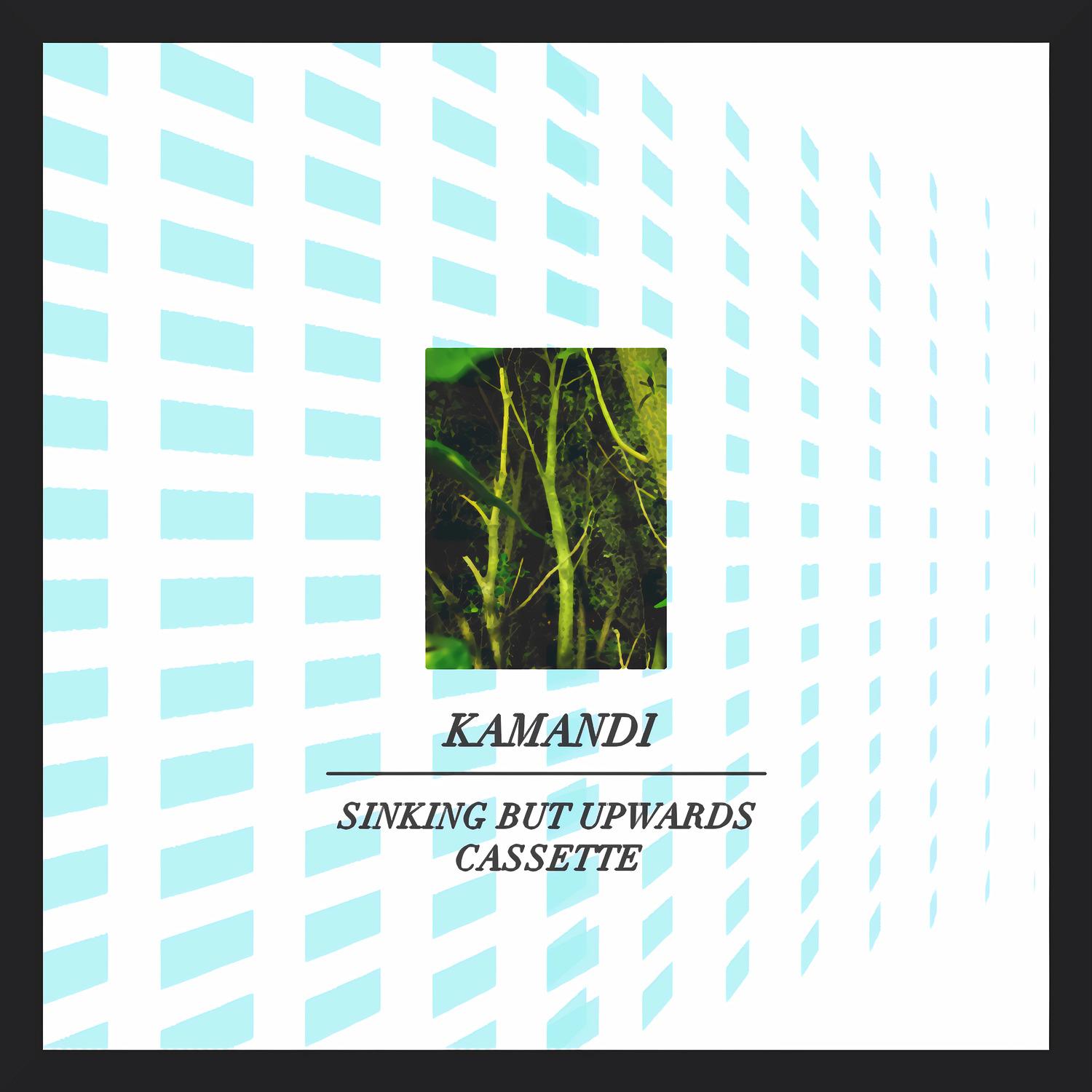 Sinking but Upwards Cassette