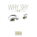 WHY SHY Ⅱ专辑