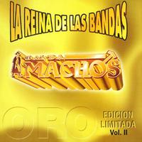 Leña  Lena De Pirul - Banda Machos ( Karaoke )