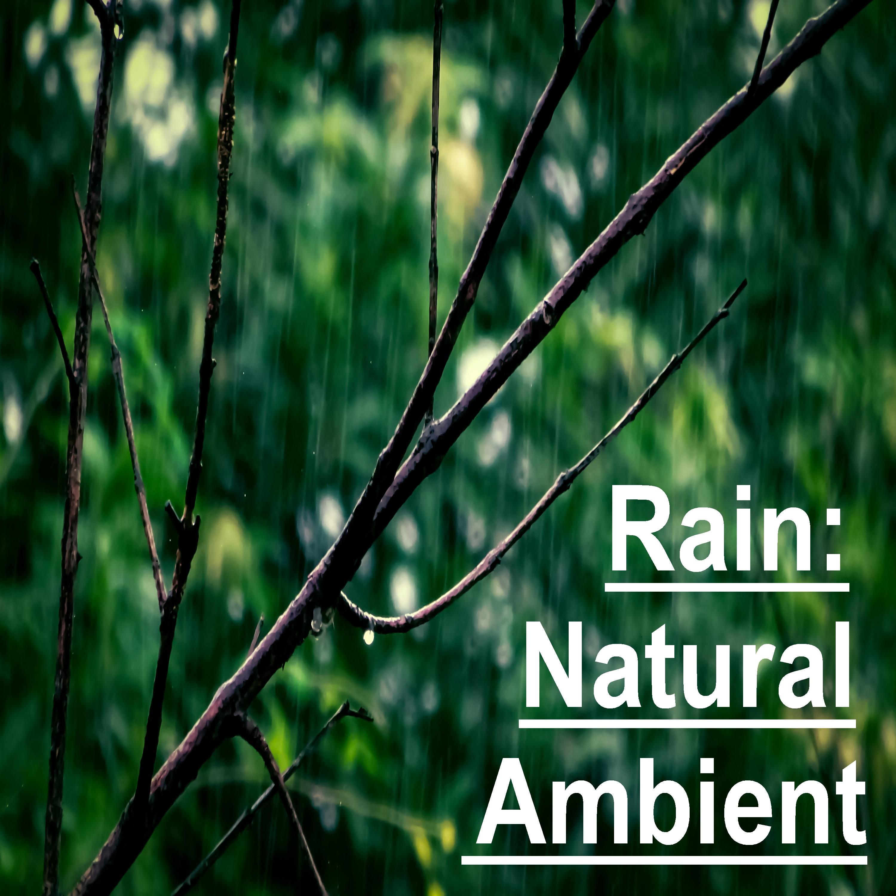 15 Ambient, Natural Rain Tracks专辑