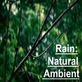 15 Ambient, Natural Rain Tracks