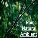 15 Ambient, Natural Rain Tracks专辑