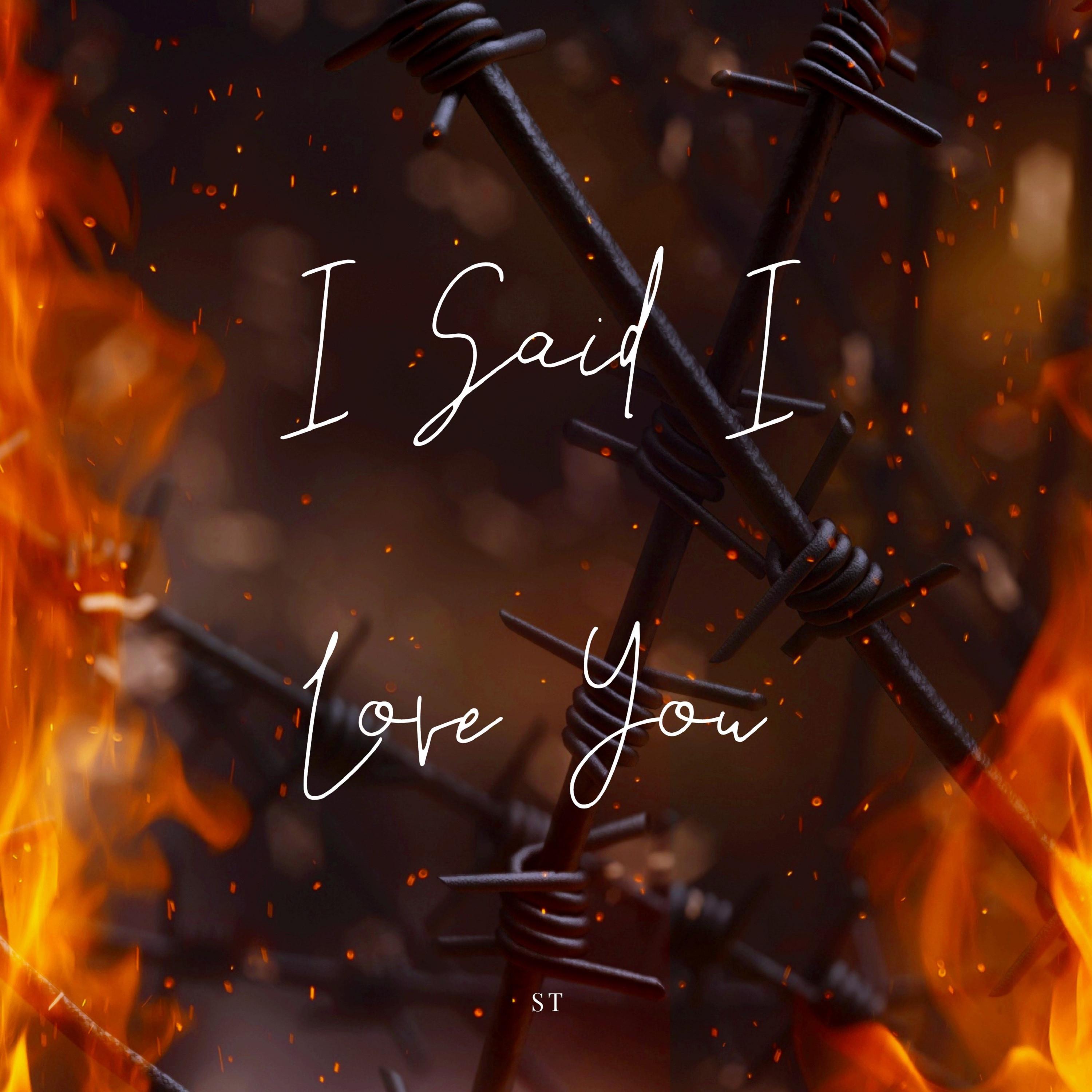 I Said I Love You
