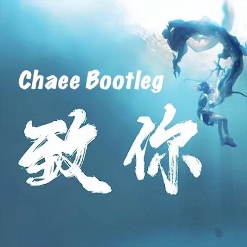 yihuik苡慧-致你(Chaee Bootleg)