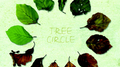 Tree Circle专辑