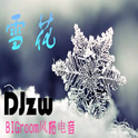 雪花专辑