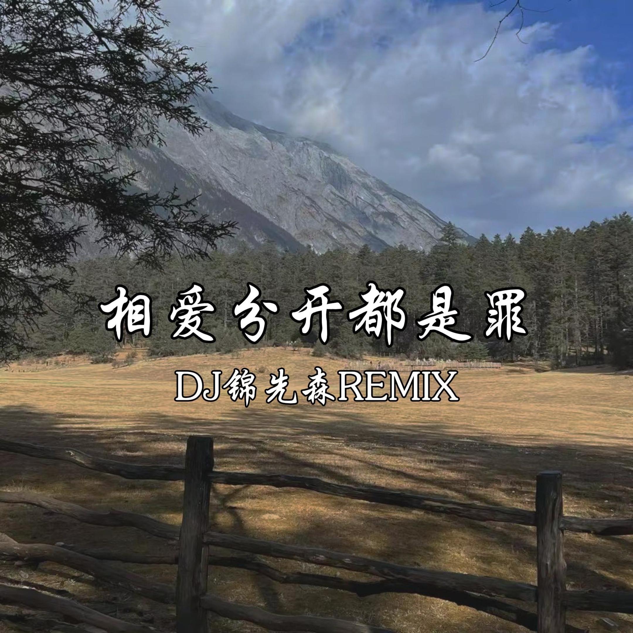 相爱分开都是罪（DJ锦先森 Remix）