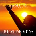 Rios de Vida (Vol. 2)专辑