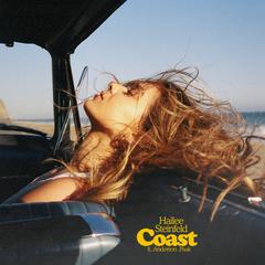 Hailee Steinfeld,Anderson Paak《Coast吉他谱》E调_编曲大气磅礴