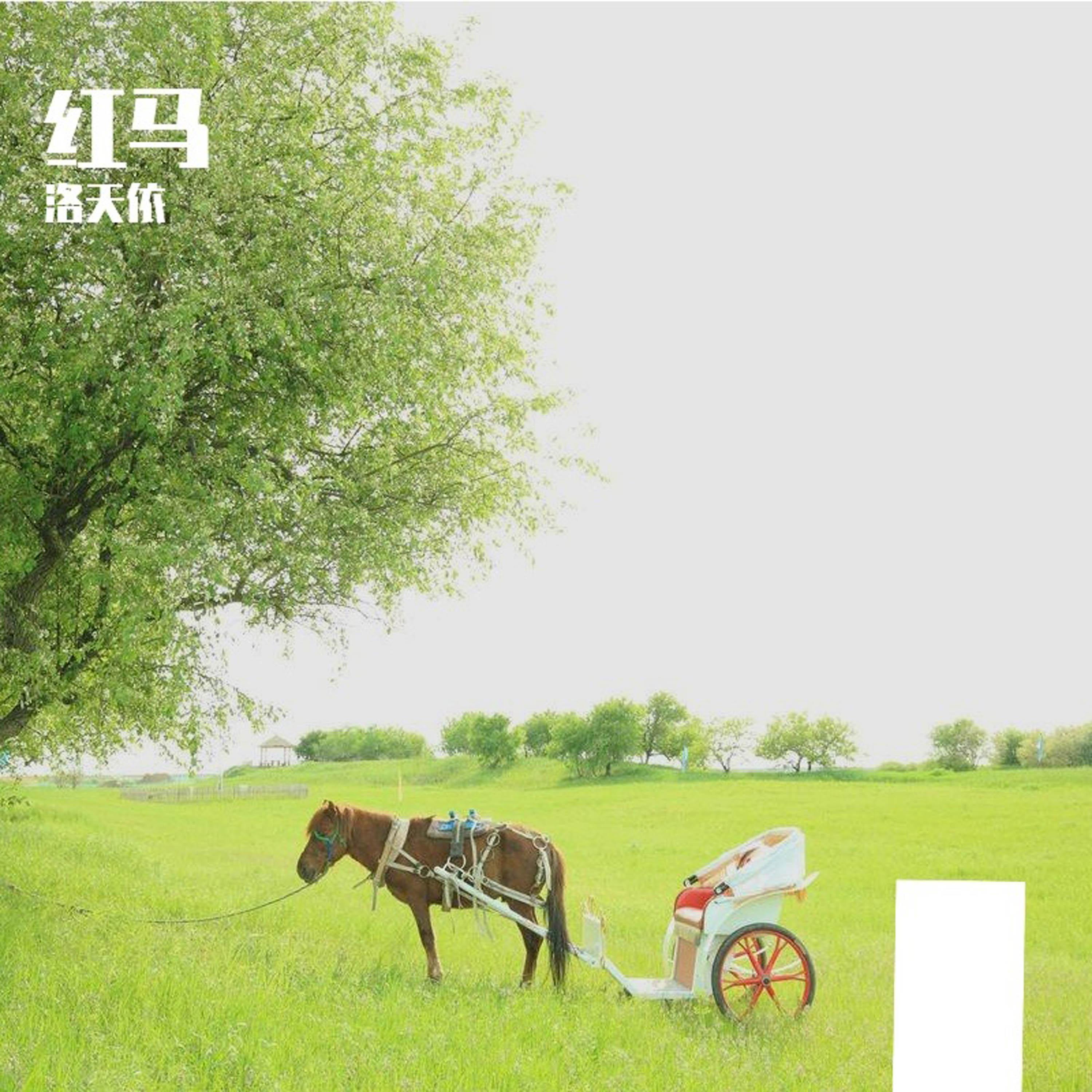 红马