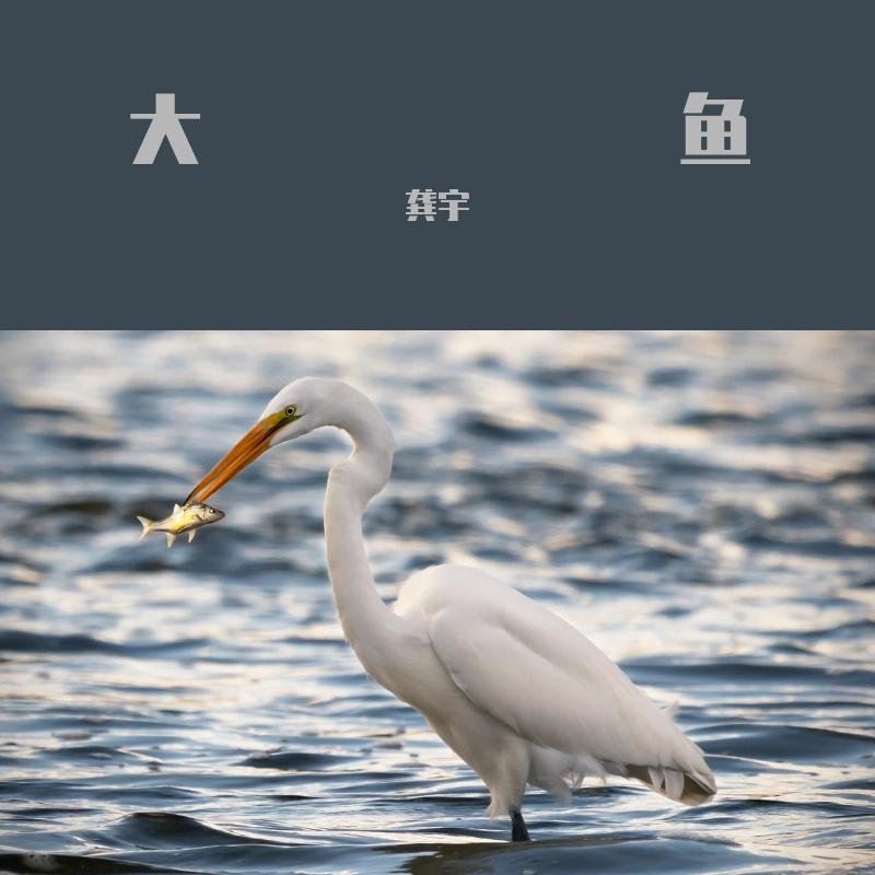 大鱼