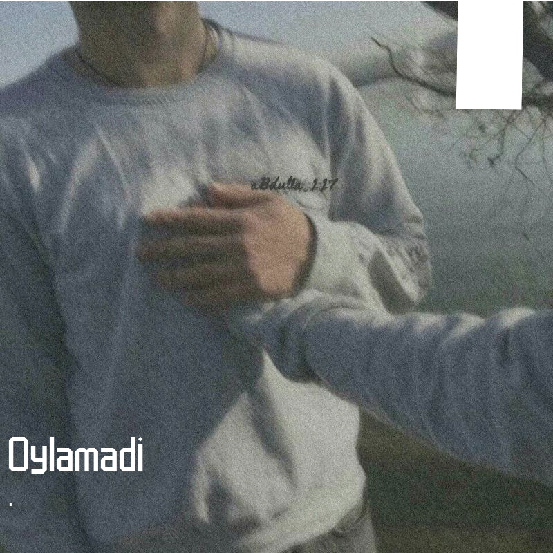 Oylamadi