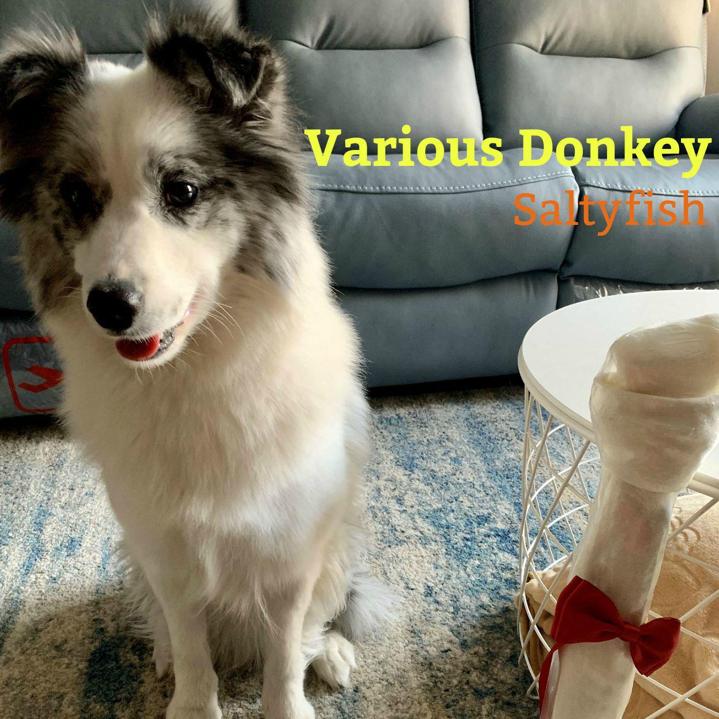 Various Donkey