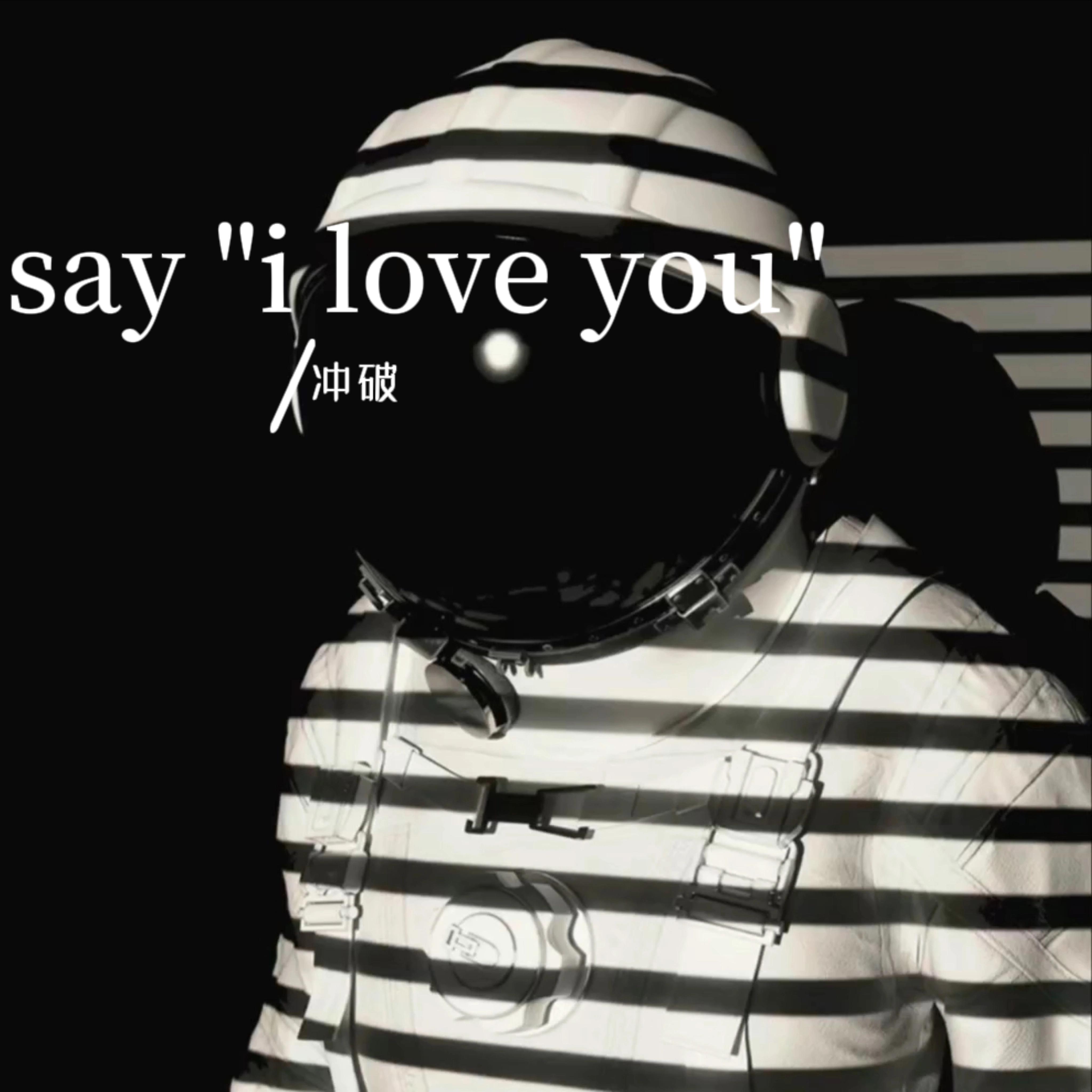 say 